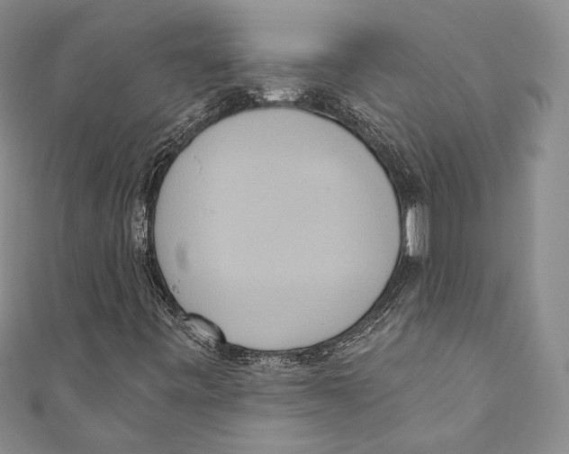 X0000110681443200907101118