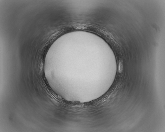 X0000110681444200907101118