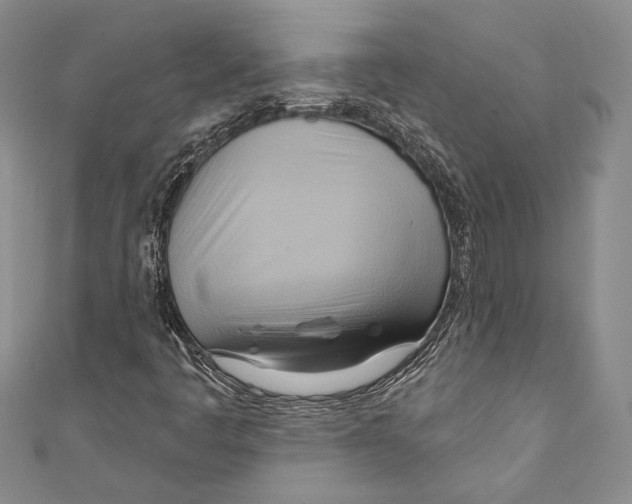 X0000110681445200907101118