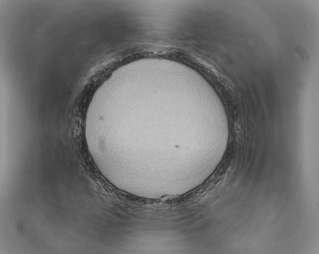 X0000110681447200907101118