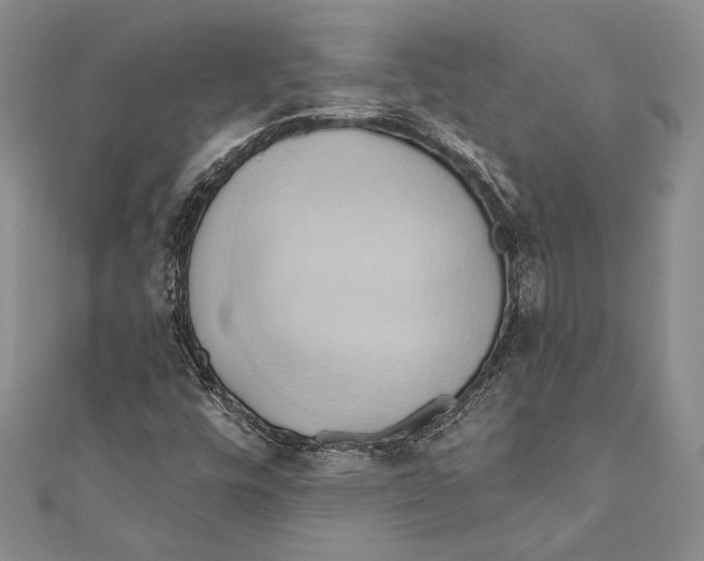 X0000110681448200907101118