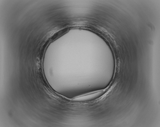 X0000110681449200907101118