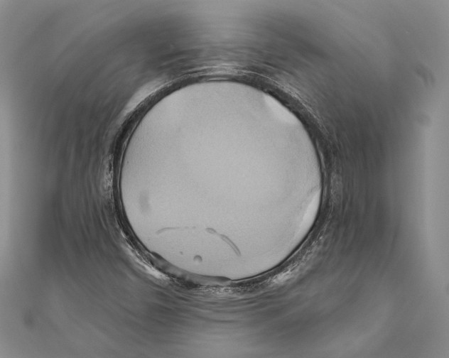 X0000110681450200907101118