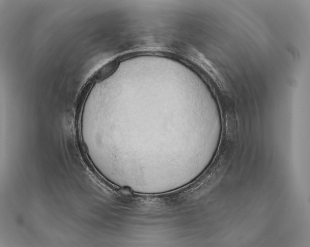 X0000110681452200907101118