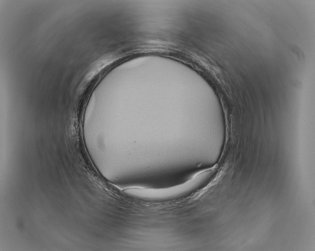 X0000110681453200907101118
