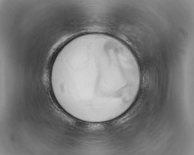 X0000110681454200907101117