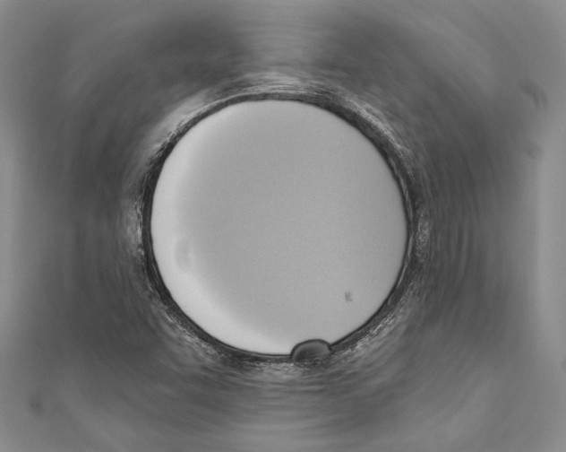 X0000110681455200907101117