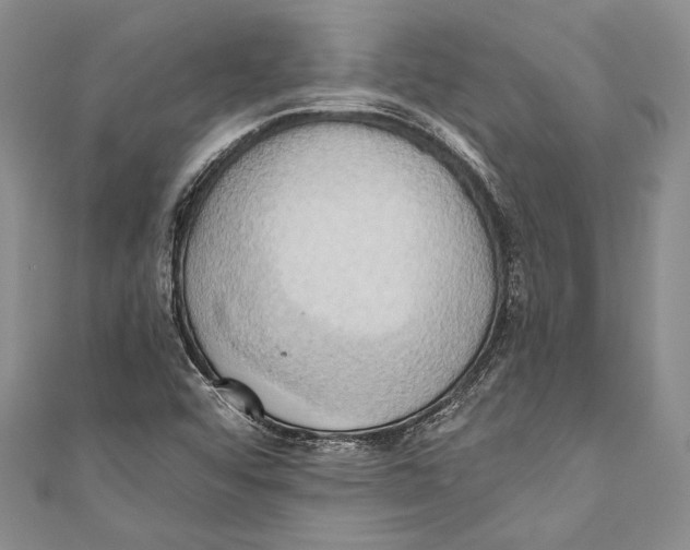 X0000110681456200907101117