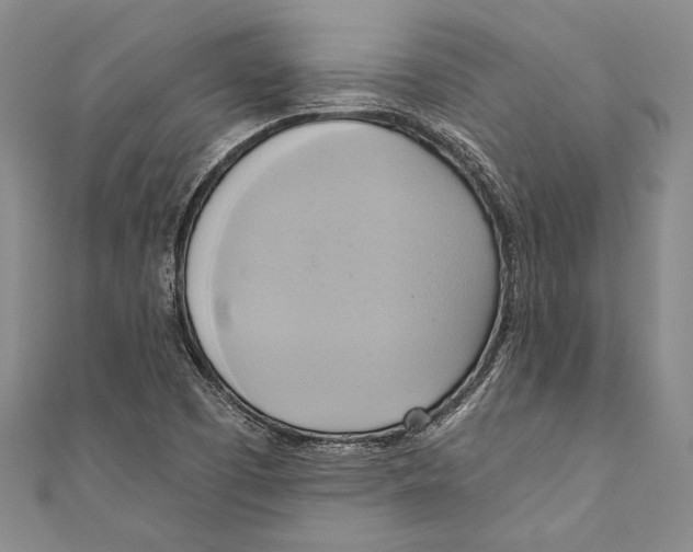 X0000110681457200907101117