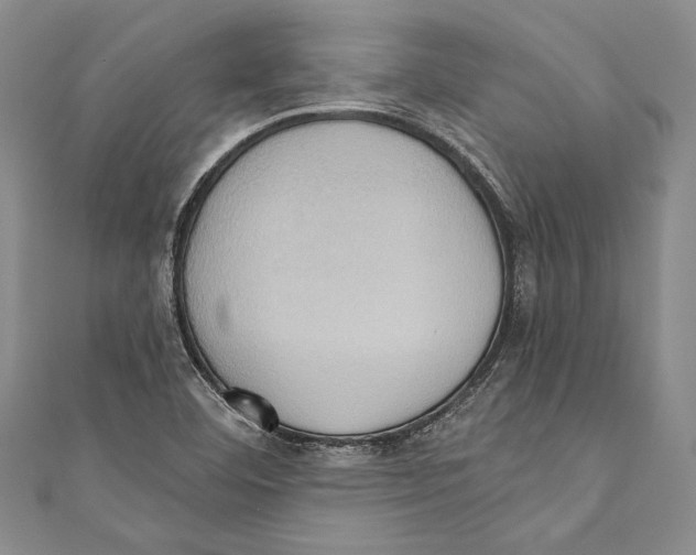 X0000110681460200907101117
