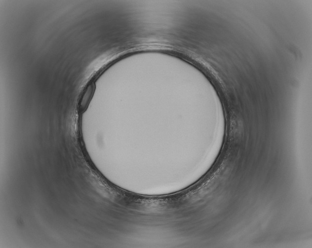 X0000110681461200907101117