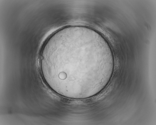 X0000110681462200907101117