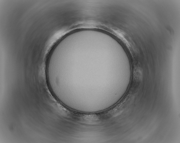 X0000110681464200907101117