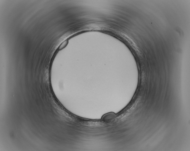 X0000110681465200907101117