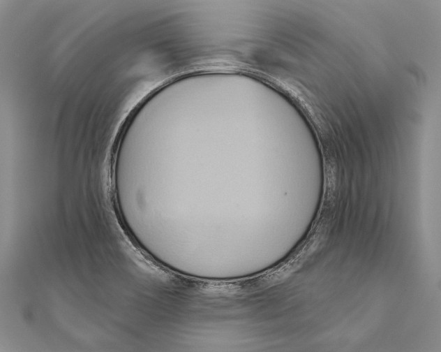 X0000110681466200907101117