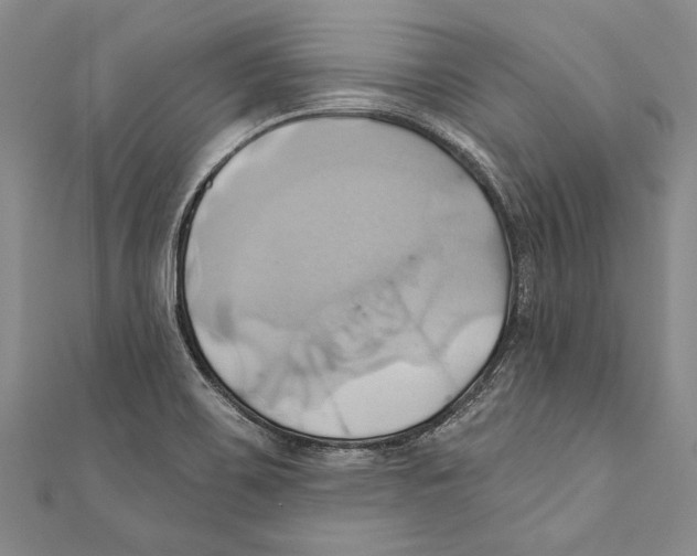 X0000110681467200907101117