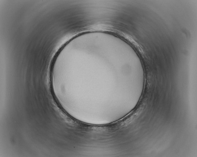 X0000110681469200907101117