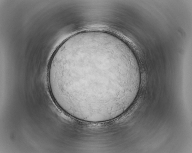 X0000110681470200907101117