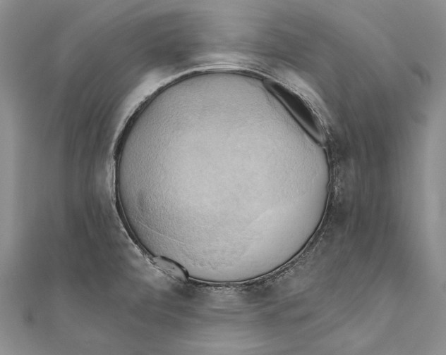 X0000110681472200907101117