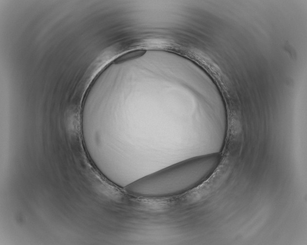 X0000110681473200907101117