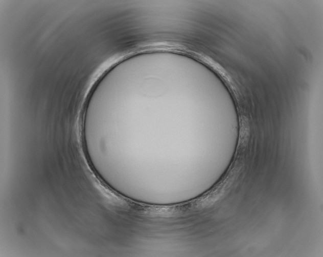X0000110681474200907101117