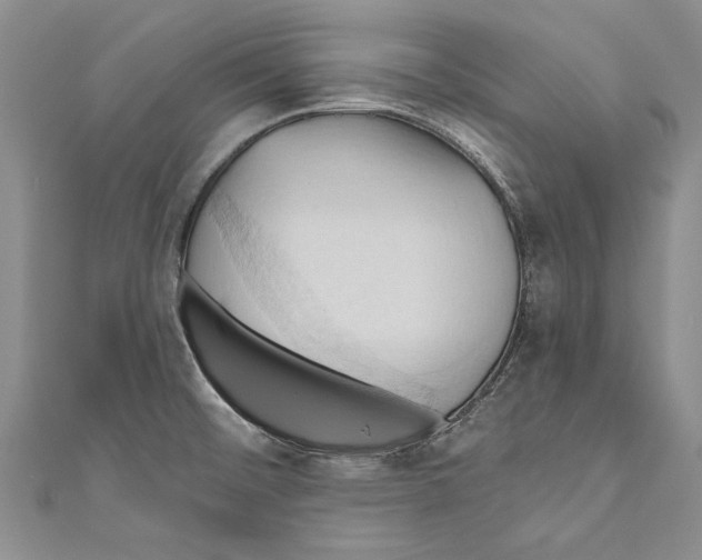 X0000110681476200907101117