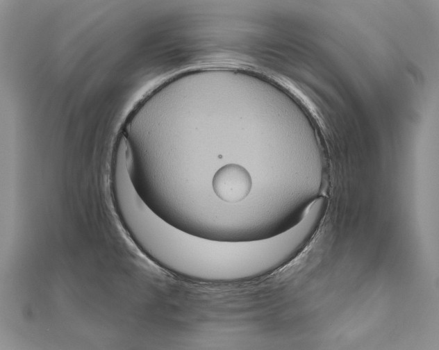 X0000110681477200907101117