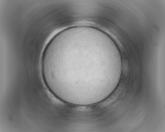 X0000110681478200907101117