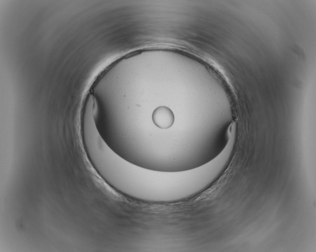 X0000110681480200907101117