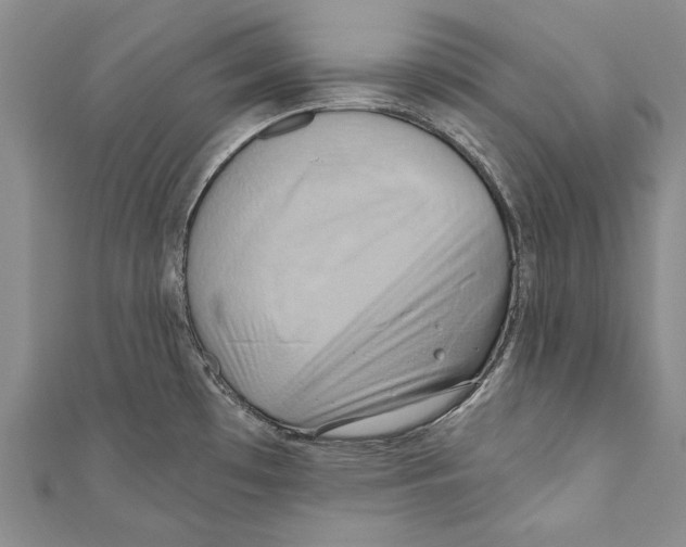 X0000110681481200907101117