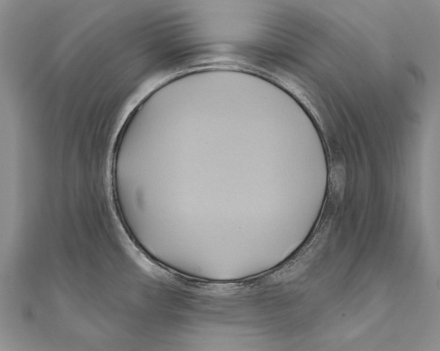 X0000110681482200907101117