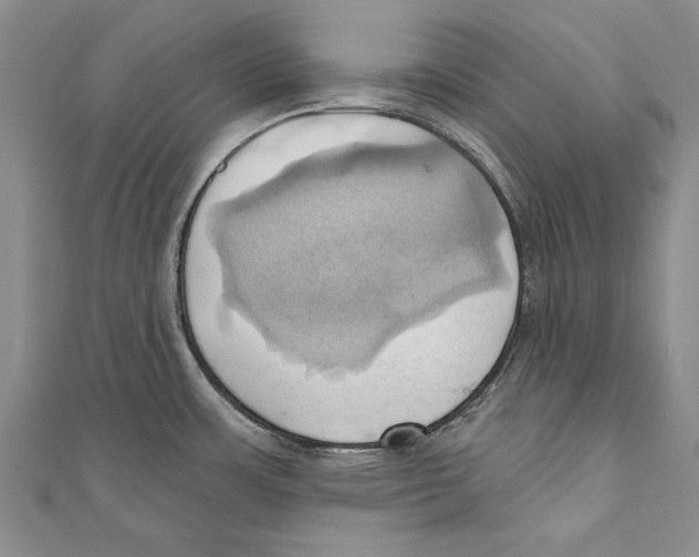 X0000110681483200907101117