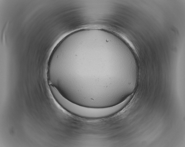 X0000110681484200907101117