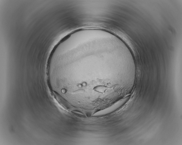 X0000110681485200907101117