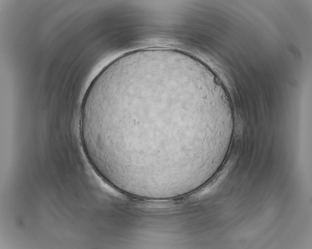 X0000110681486200907101117