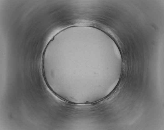 X0000110681487200907101117