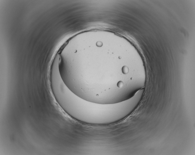 X0000110681488200907101117