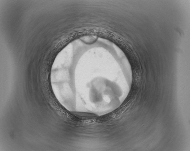 X0000110681489200907101116