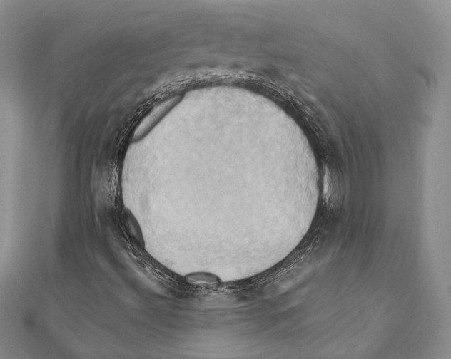 X0000110681492200907101116