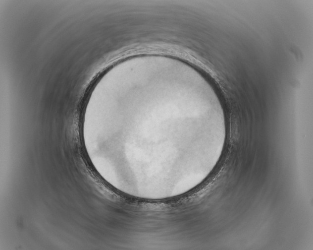 X0000110681498200907101116