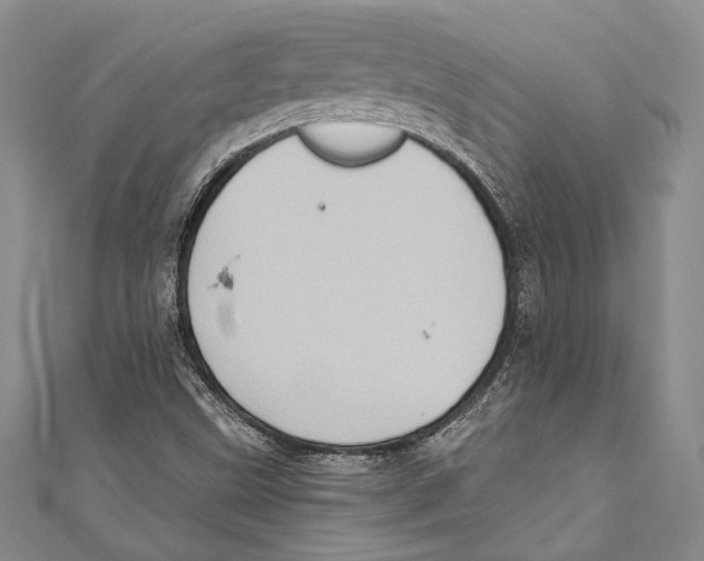 X0000110681499200907101116