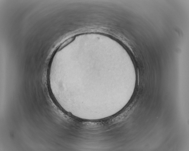 X0000110681500200907101116