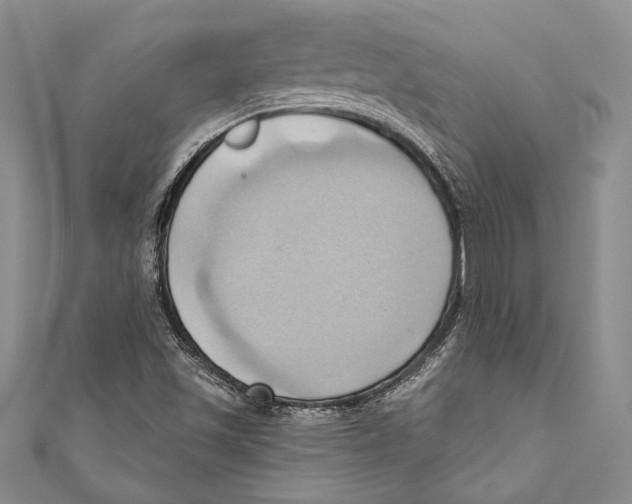 X0000110681501200907101116