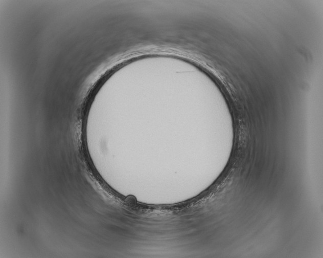 X0000110681503200907101116