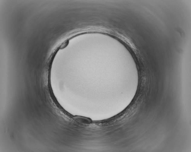 X0000110681504200907101116