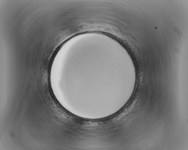 X0000110681505200907101116