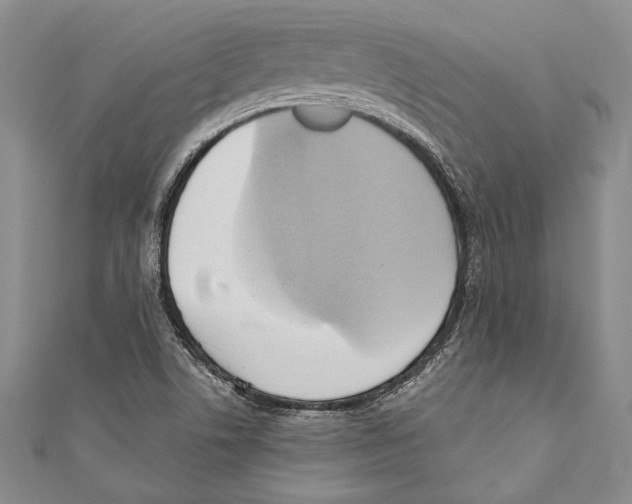 X0000110681506200907101116