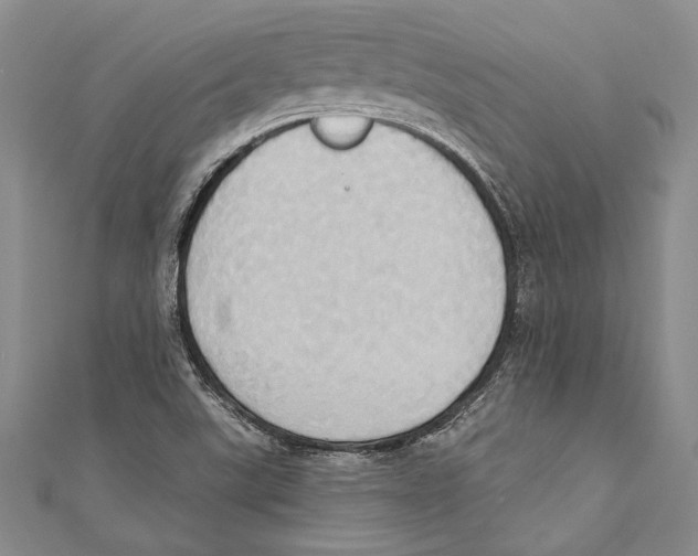 X0000110681507200907101116