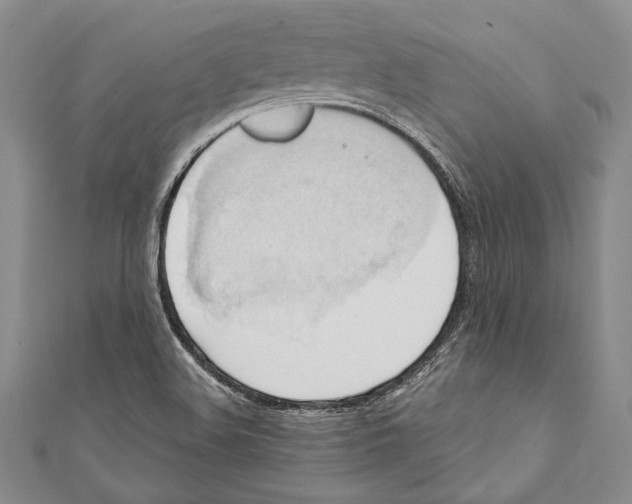 X0000110681508200907101117