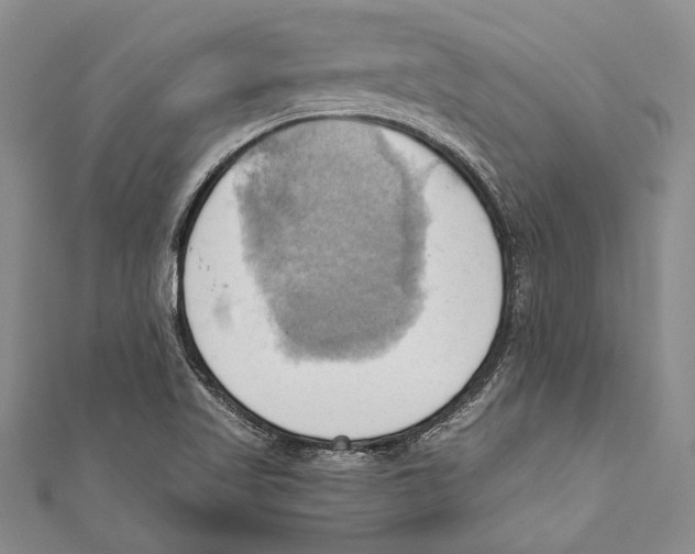 X0000110681509200907101117